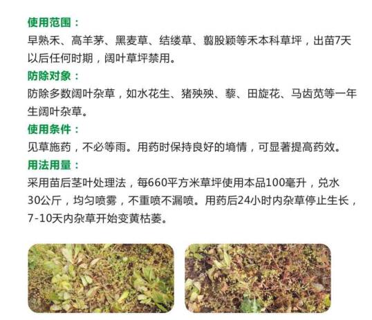 国际绚烂hui55137(中国)官网登录入口